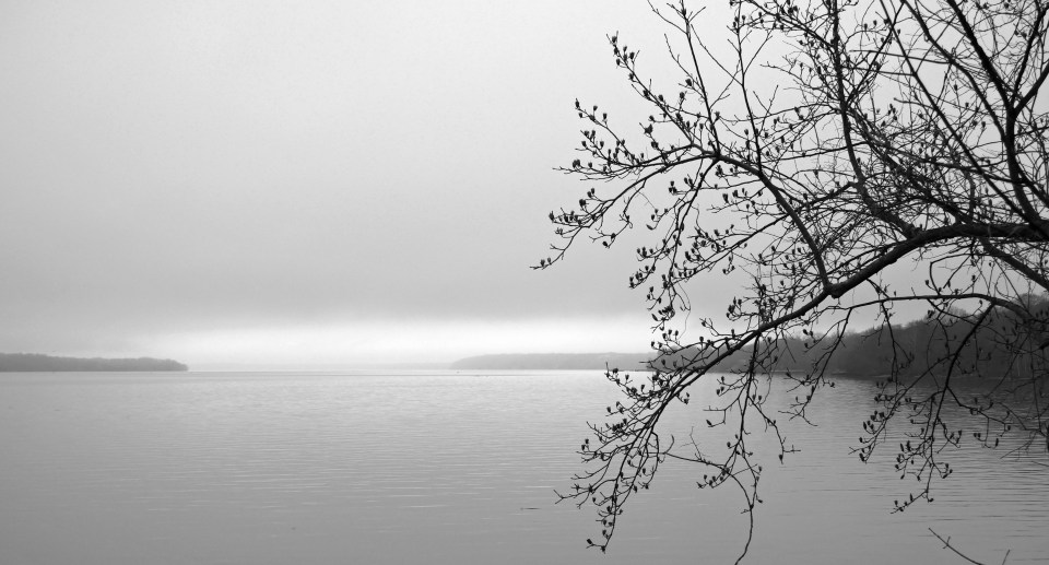 2018 02 19 P1040163 POTOMAC (CROP, BW) (G7)