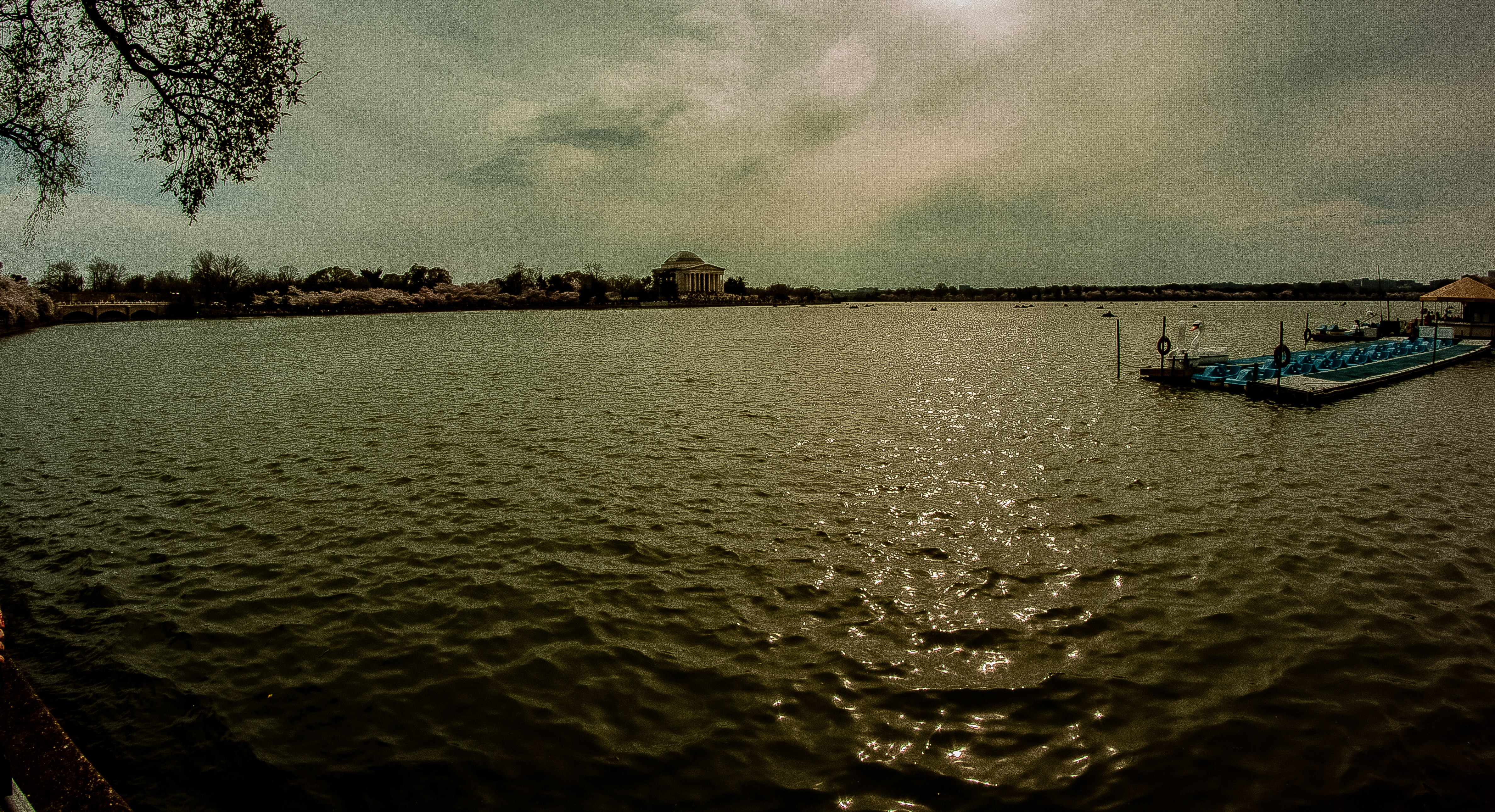 2019 03 30 TIDAL BASIN (Ti1, FE)-0026